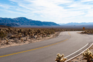 Joshua Tree